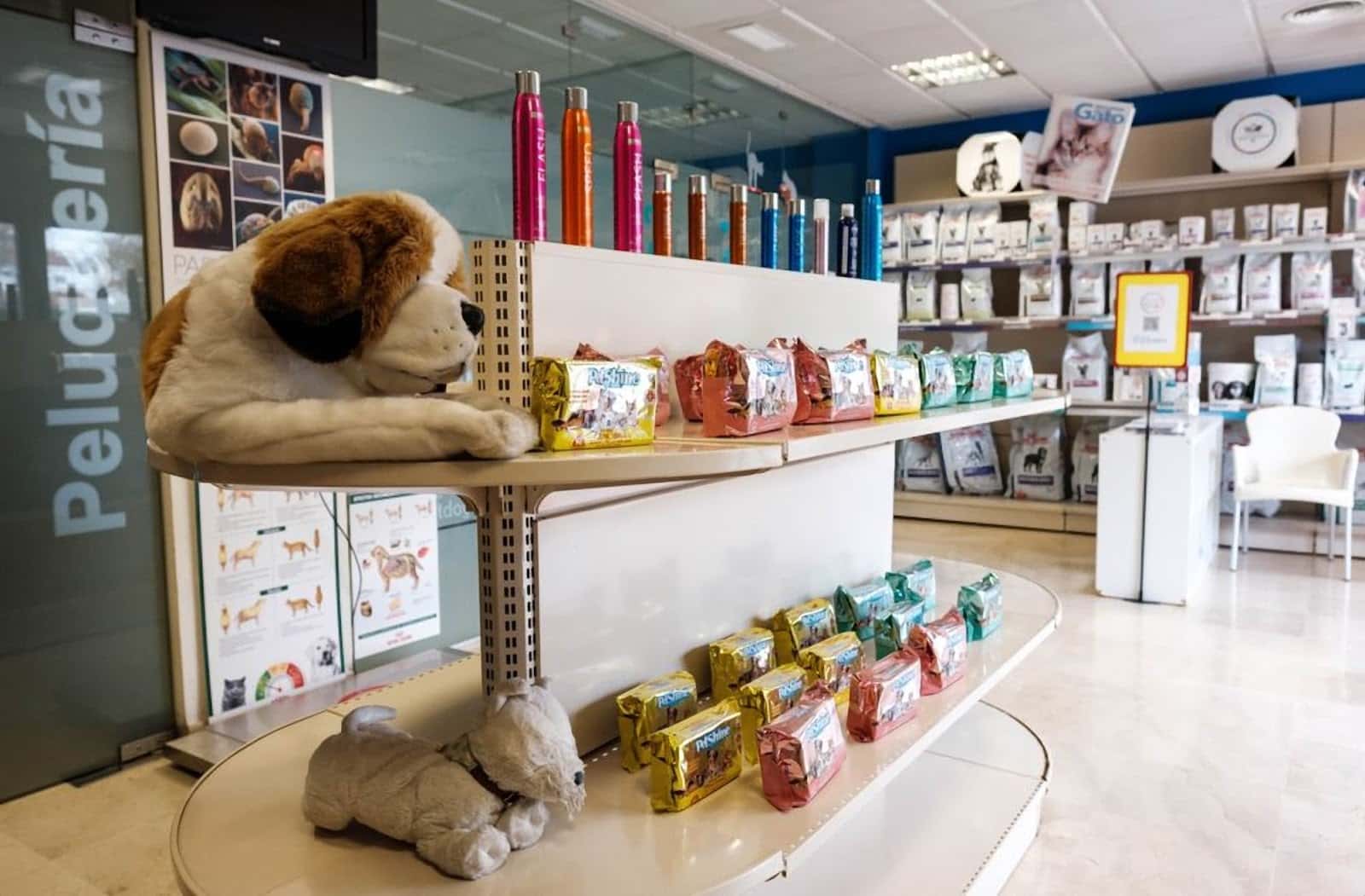 centro veterinario catdog tomares veterinario centro en tomares en sevilla principalImage ADOPTA Sitios Pet Friendly