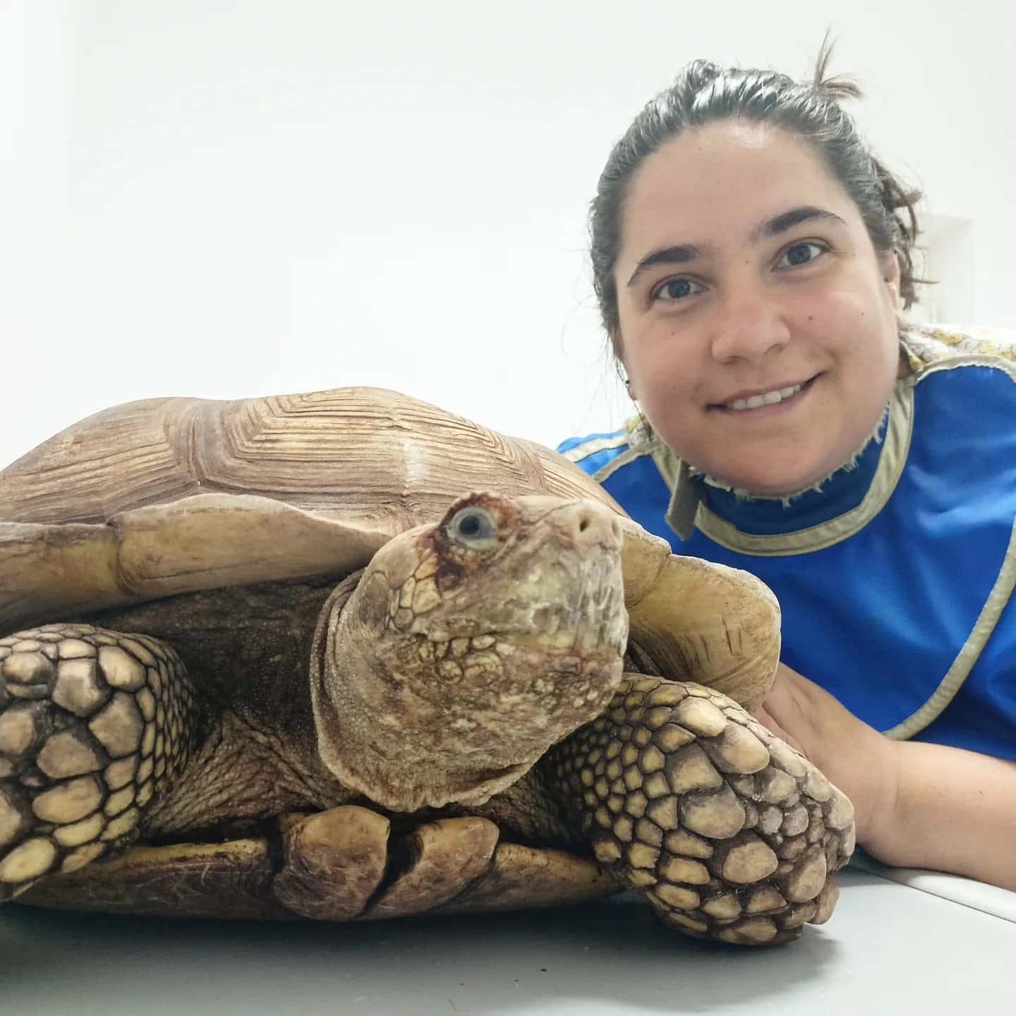 HISPALVET VETERINARIOS