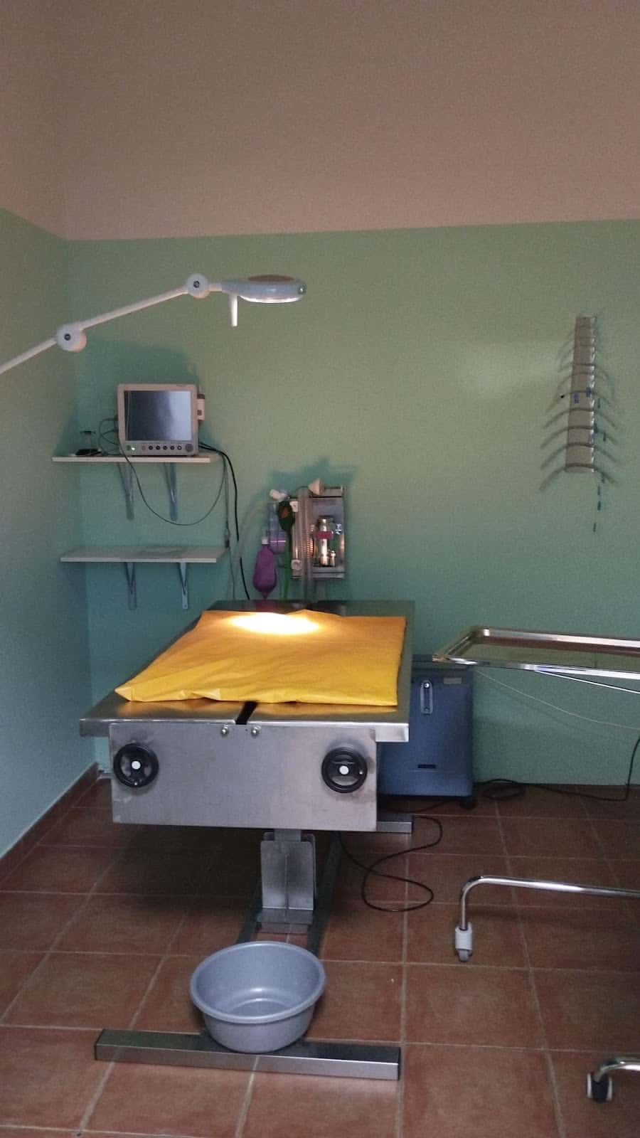 VISOVET (Centro Veterinario)