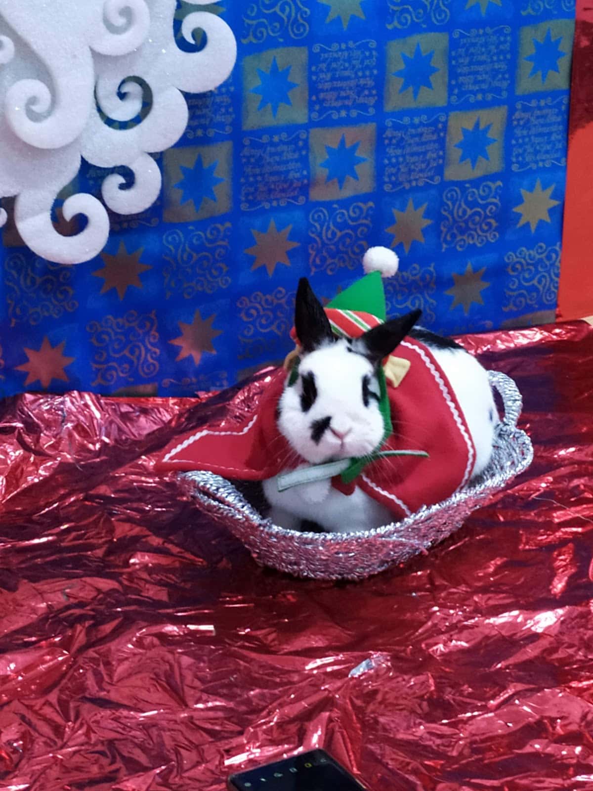 Clínica Veterinaria Sobrino e Illescas