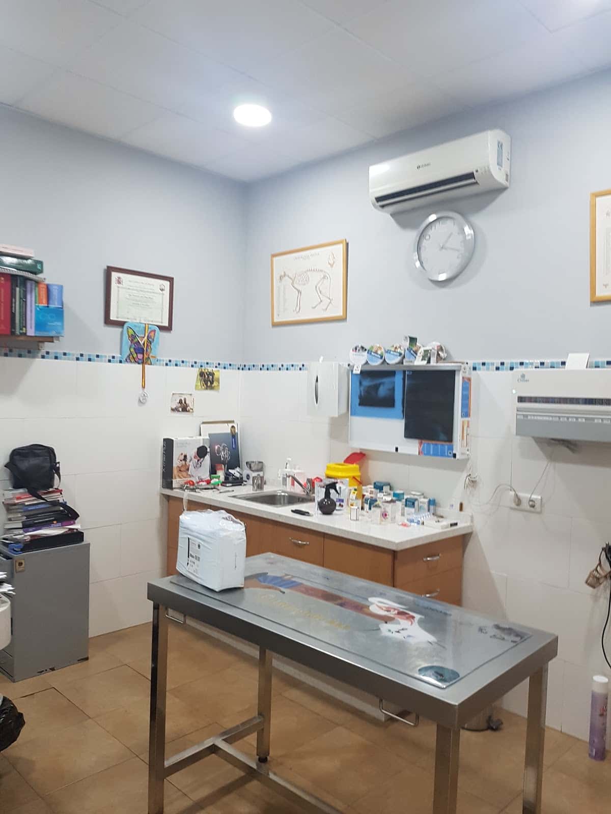 clinica veterinaria pina veterinario clinica en ecija en sevilla principalImage ADOPTA Sitios Pet Friendly