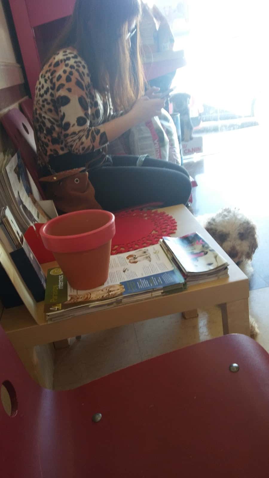 Clínica Veterinaria Cruz Verde