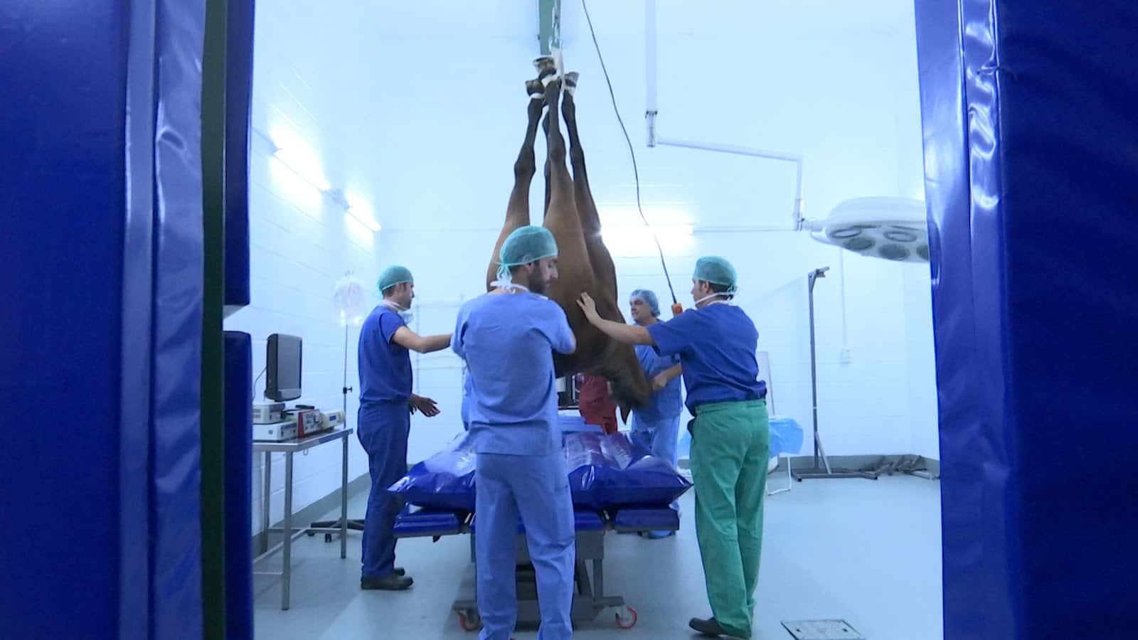 Clinica Equina Axati