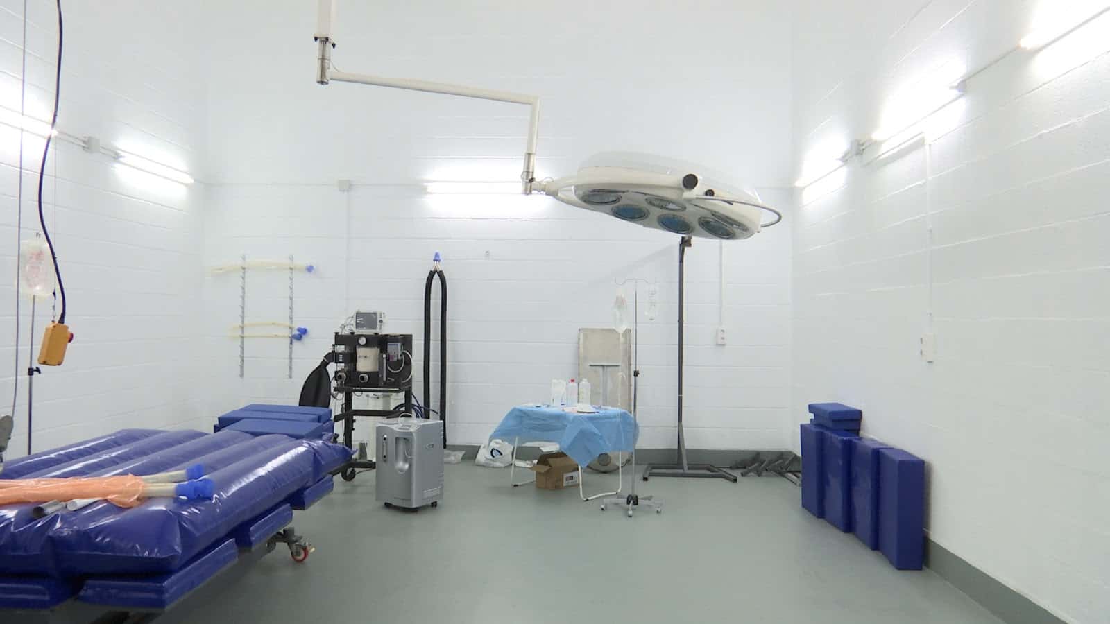 clinica equina axati veterinario clinica en penaflor en sevilla principalImage ADOPTA Sitios Pet Friendly