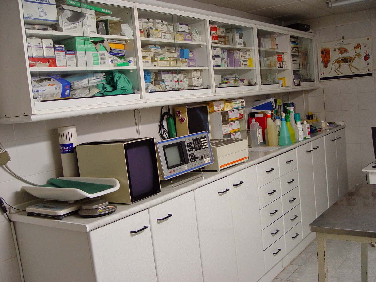 Centro Clínico Veterinario Serrano