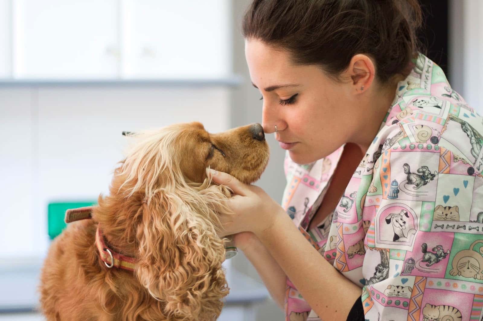 clinica veterinaria juan carlos de la orden veterinario clinica barrio soria en soria en soria principalImage ADOPTA Sitios Pet Friendly
