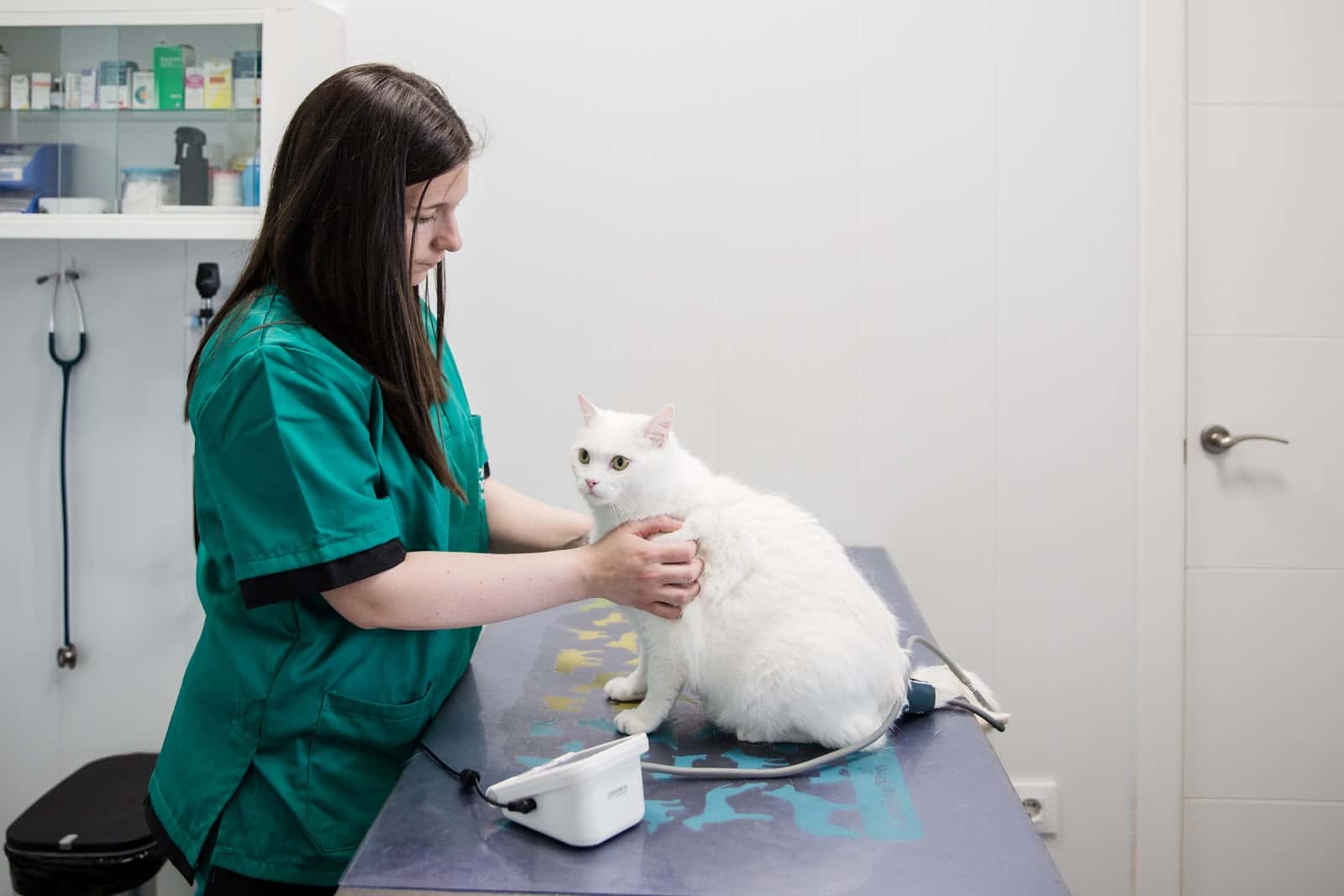 Clínica Veterinaria Mi Mascota