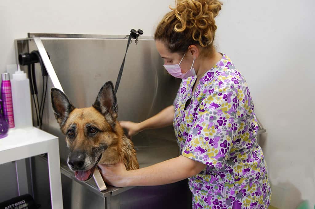 Clínica Veterinaria Urbión