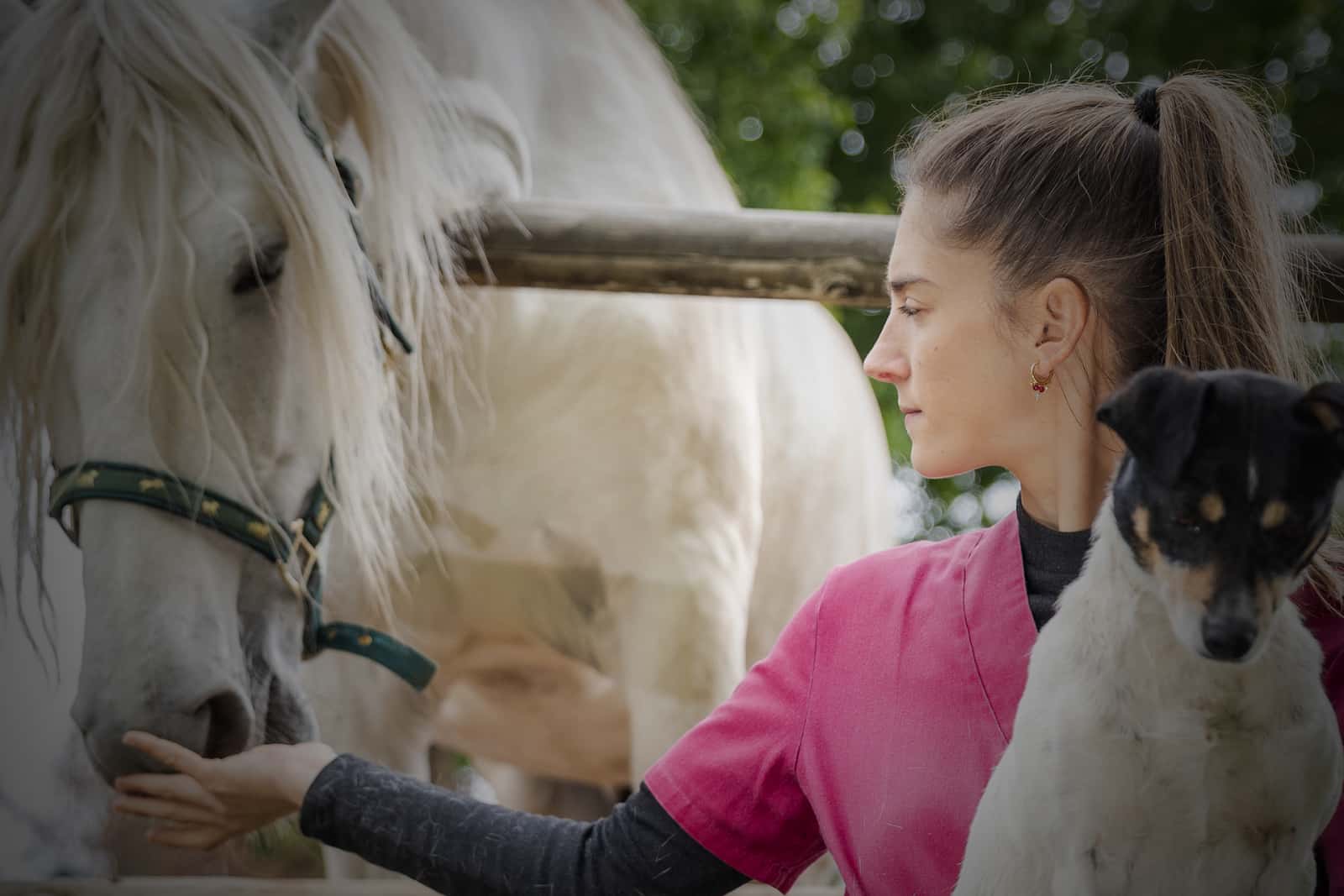 Cristina Rioja Veterinaria