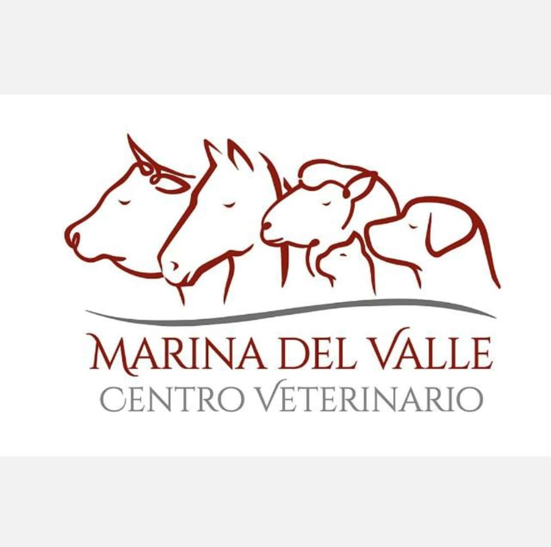 CENTRO VETERINARIO MARINA DEL VALLE