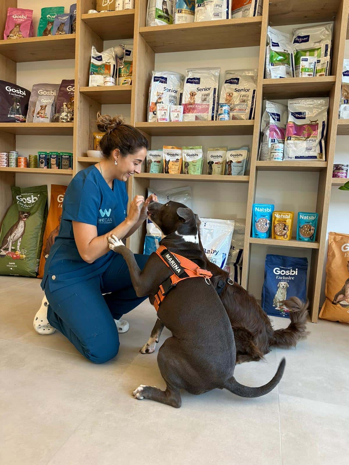 clinica veterinaria wecan joana domingo veterinario clinica en tortosa en tarragona principalImage ADOPTA Sitios Pet Friendly