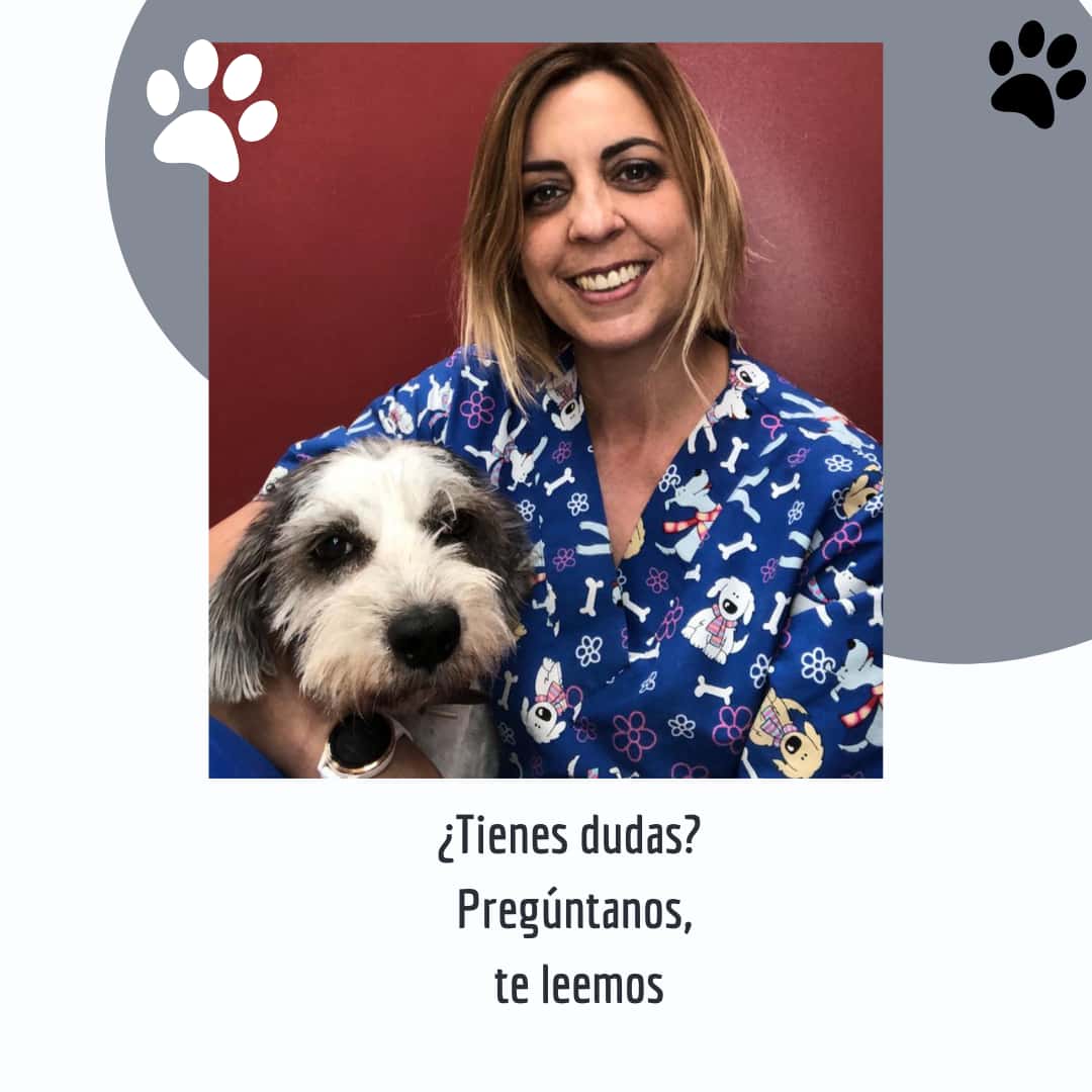 VETERINARI L'AMPOLLA