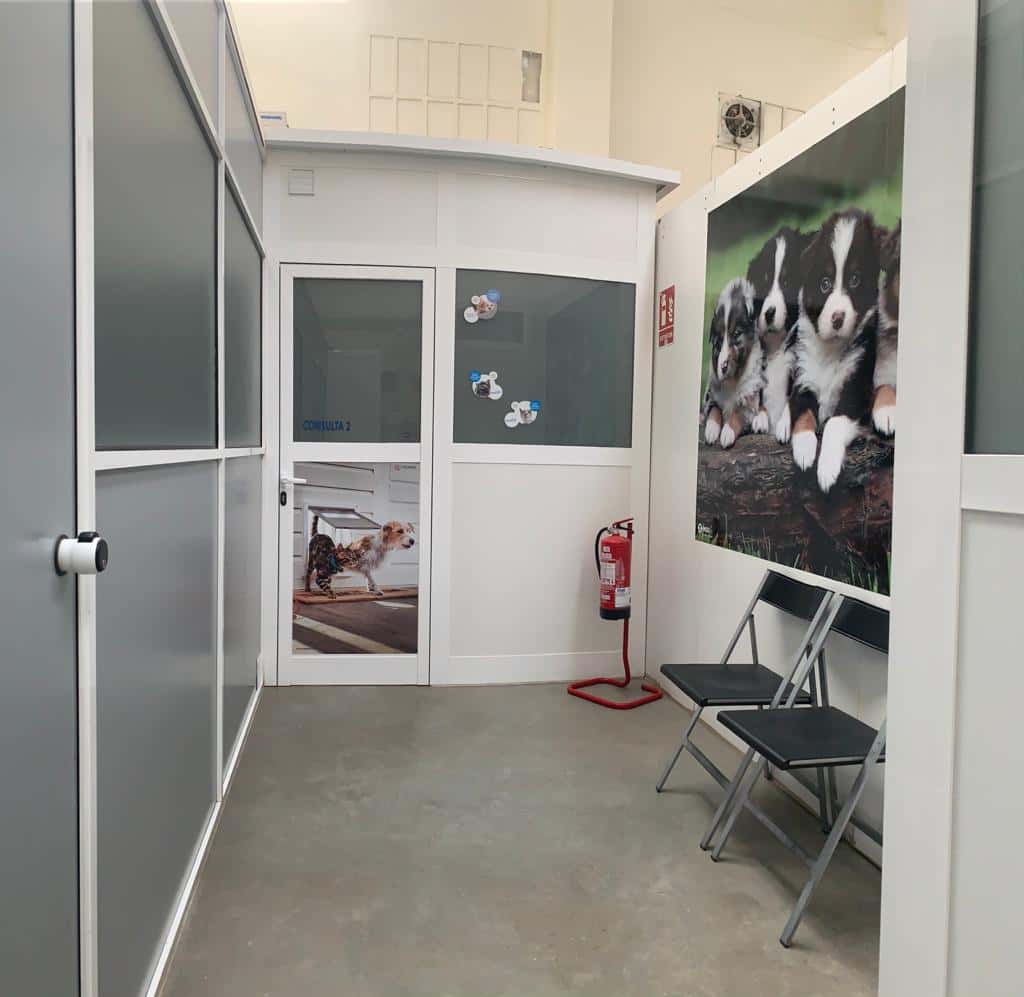 COSELVA VETERINÀRIA