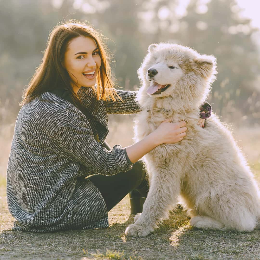 Clínica Veterinaria Mas Iglesias WECAN