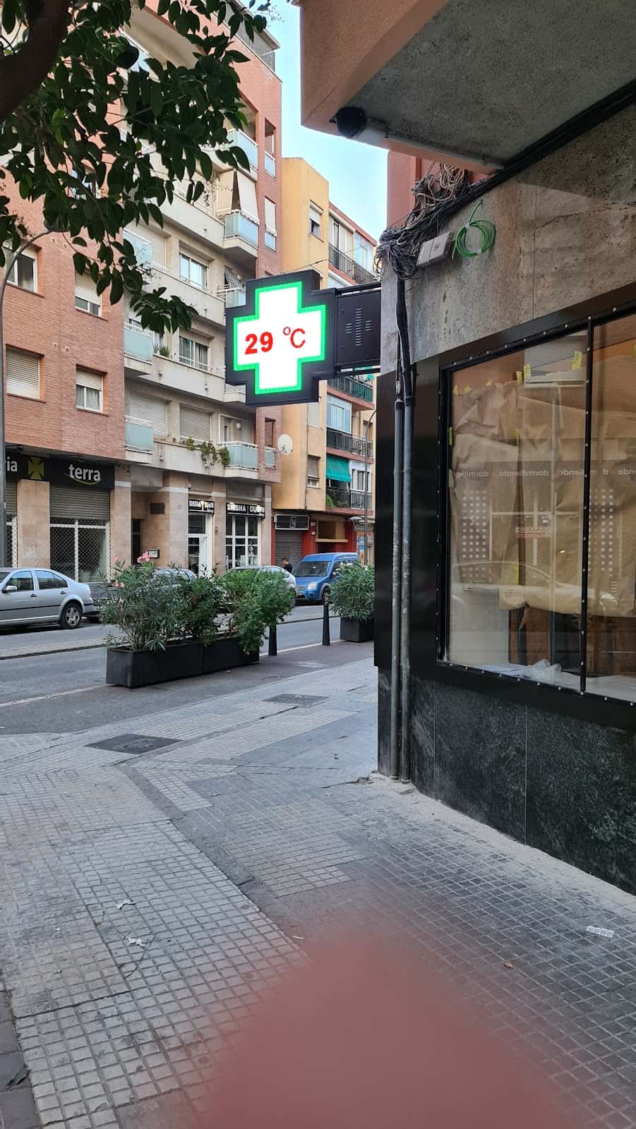 Terra Veterinària