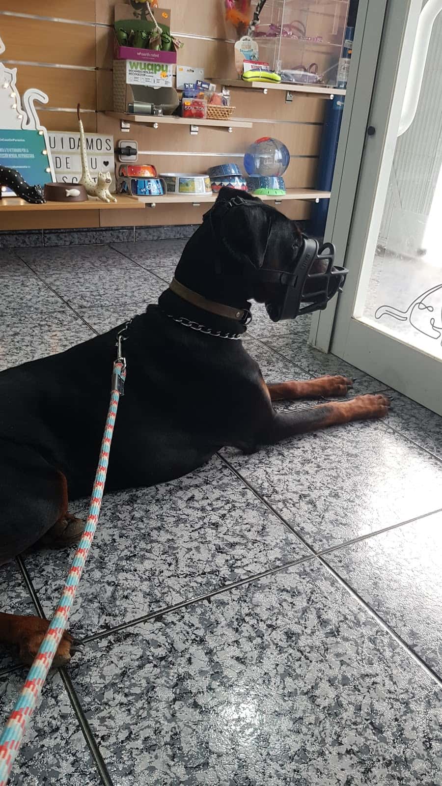 CLÍNICA VETERINÀRIA REUS