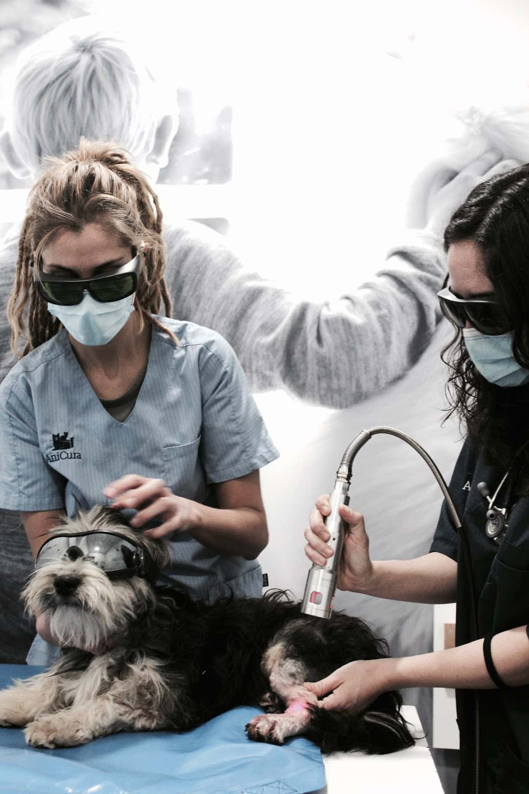 AniCura Vetamic Clínica Veterinària