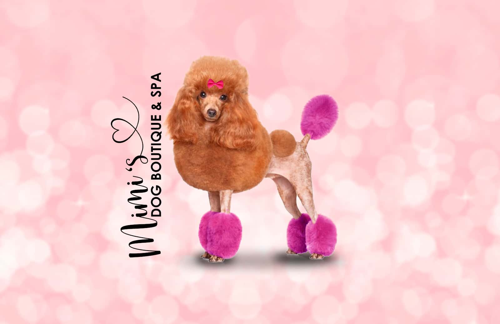 mimi s dog boutique   spa veterinario centro barrio tarragona en tarragona en tarragona principalImage ADOPTA Sitios Pet Friendly