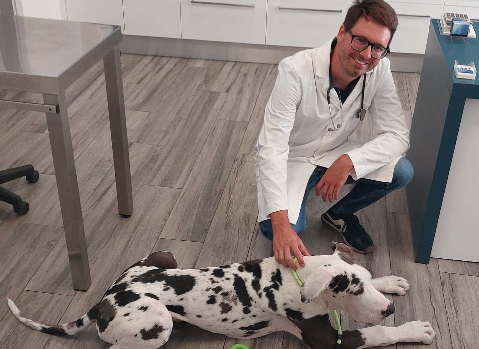 Clínica Veterinària Adrià Moreso