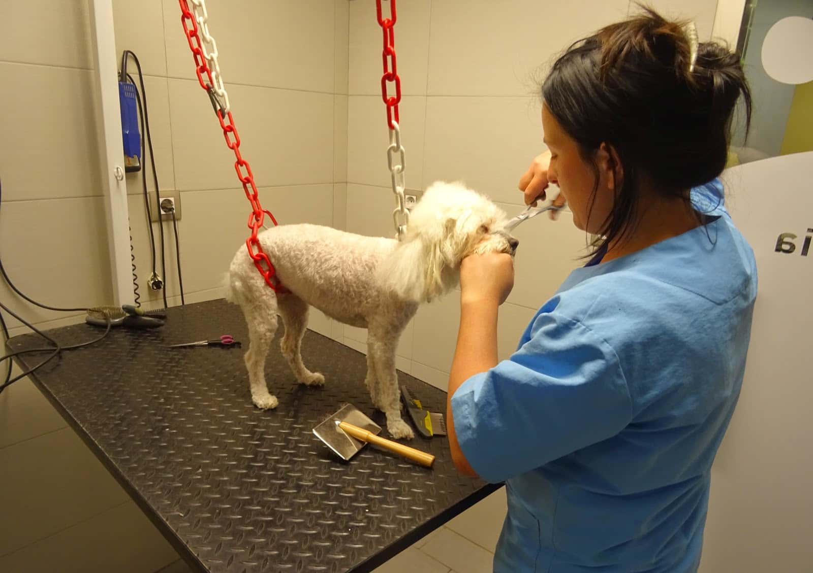 Montsià Veterinaris