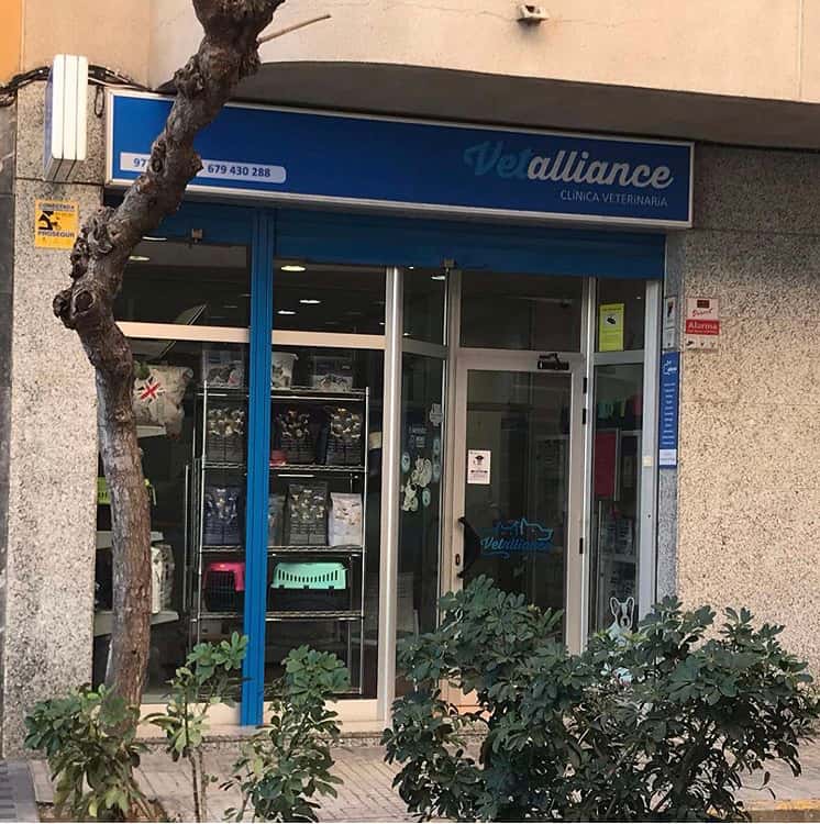 vetalliance cambrils veterinario centro en cambrils en tarragona principalImage ADOPTA Sitios Pet Friendly