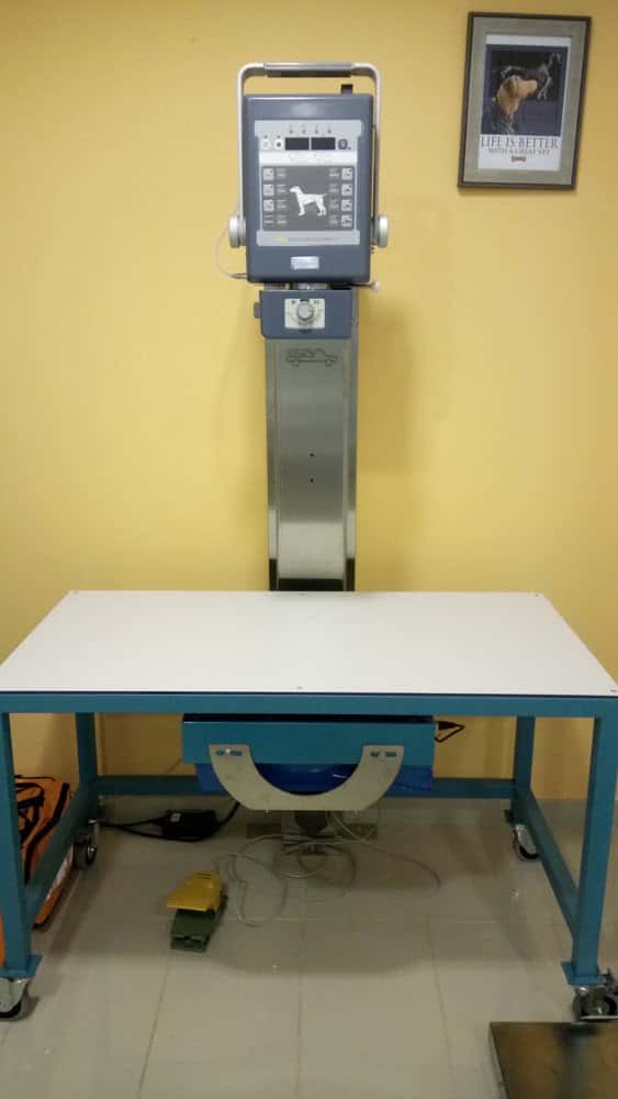 Clínica 4Potes.com - Veterinario Torredembarra