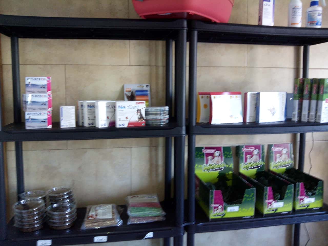 Clínica 4Potes.com - Veterinario Torredembarra