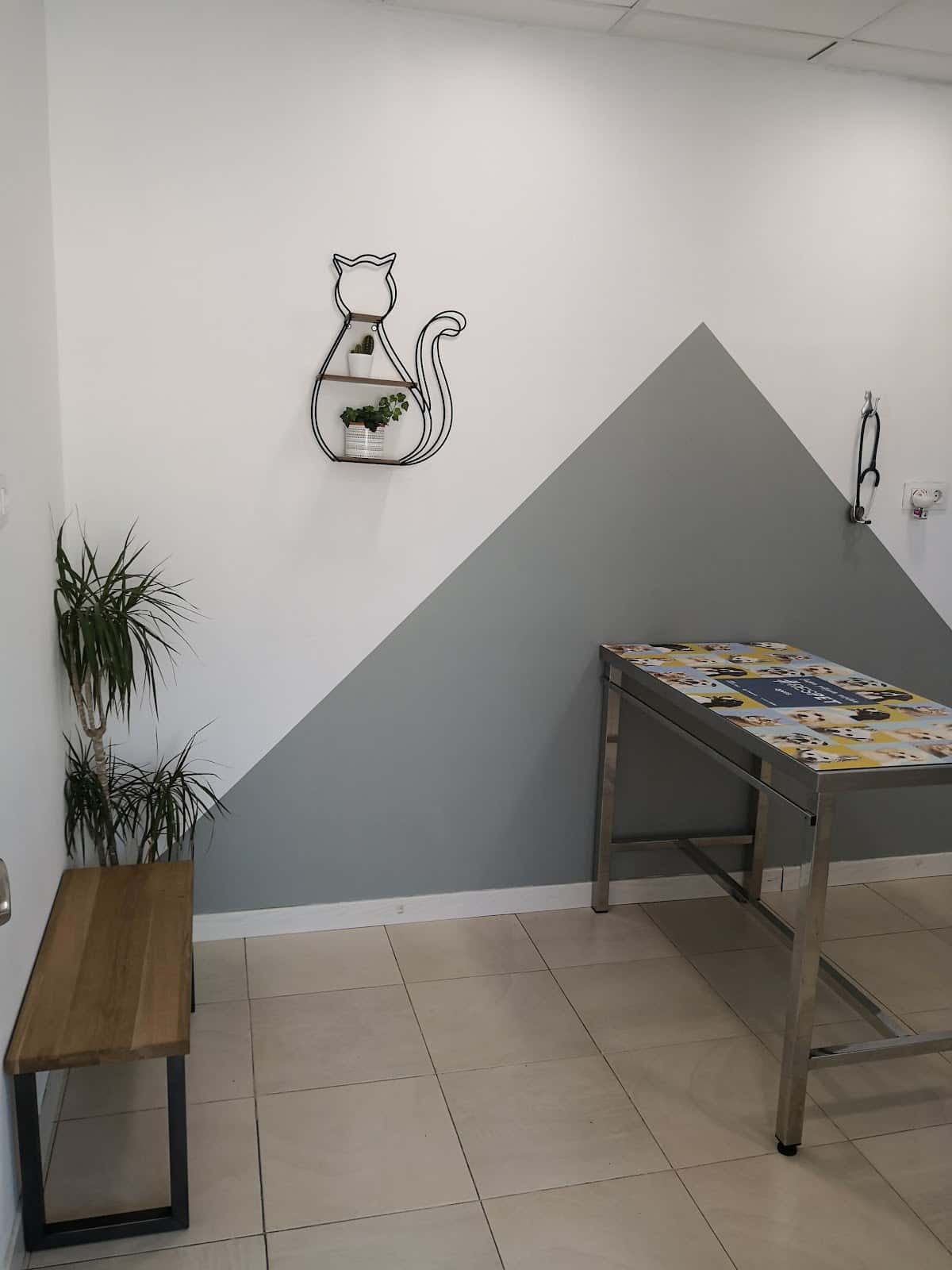 iVet Centre Veterinari