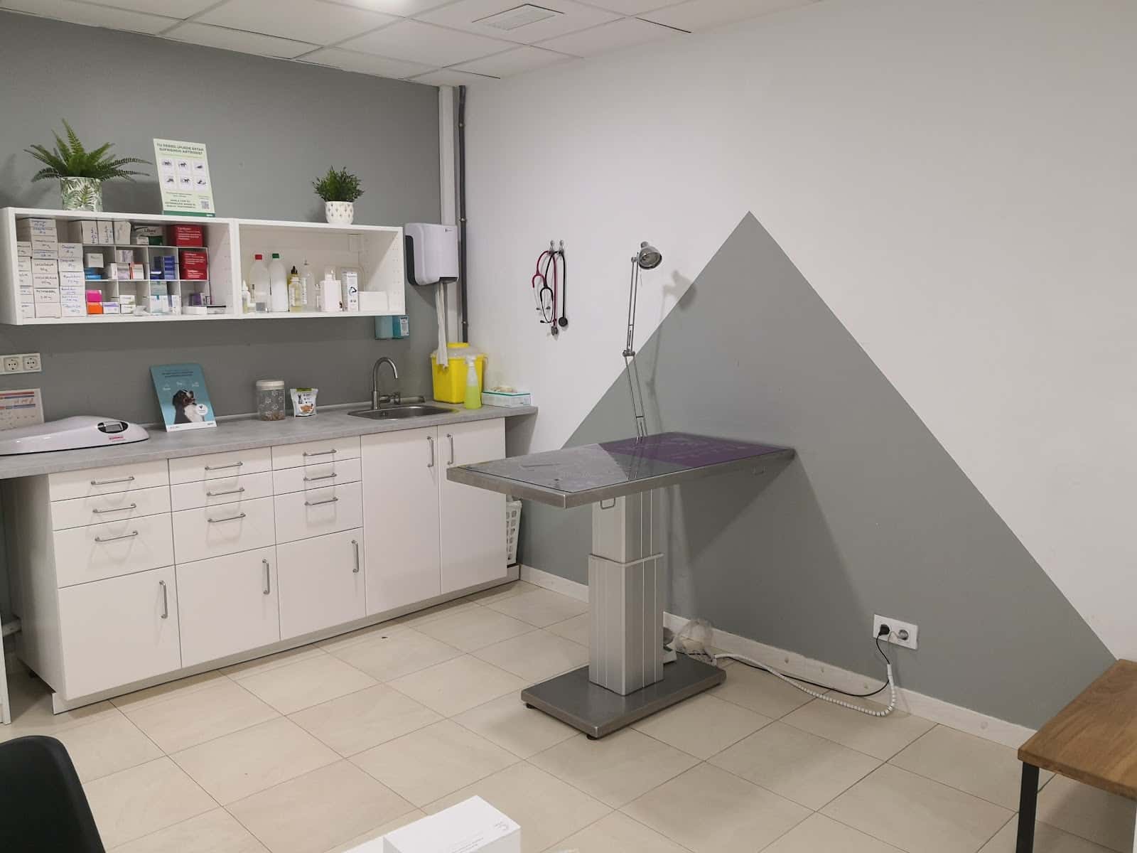 ivet centre veterinari veterinario centro en torredembarra en tarragona principalImage ADOPTA Sitios Pet Friendly