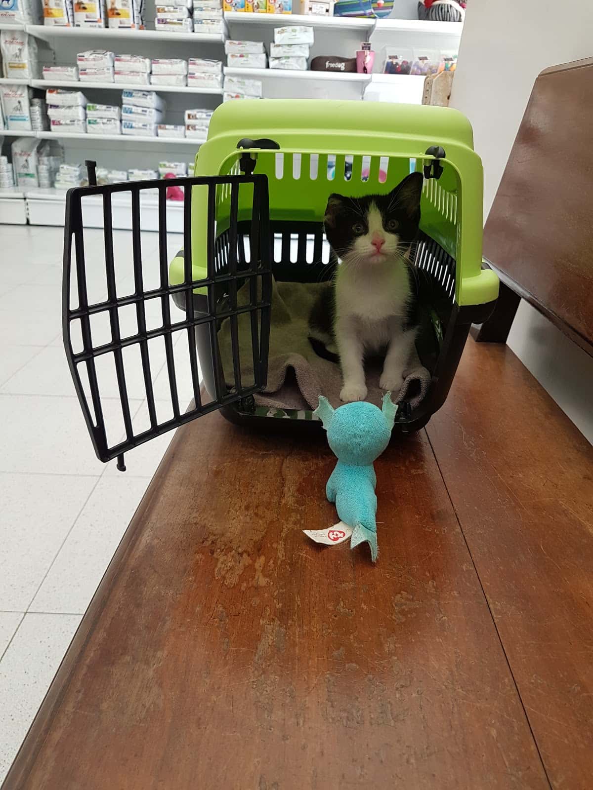 Clinica Veterinaria S.O.S. ANIMAL Fernando Lucchesi