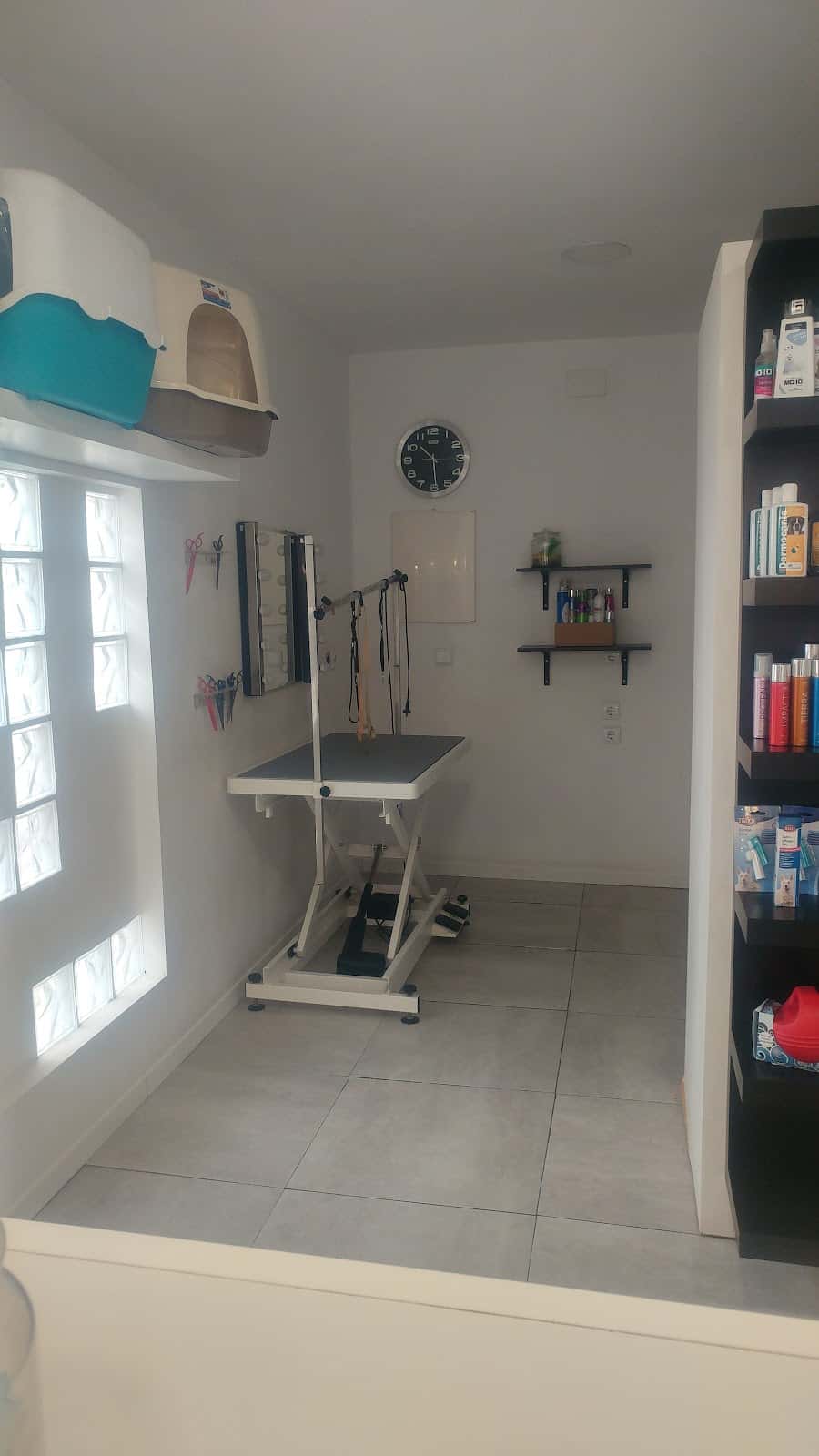 Consulta Veterinaria Elena Sáenz