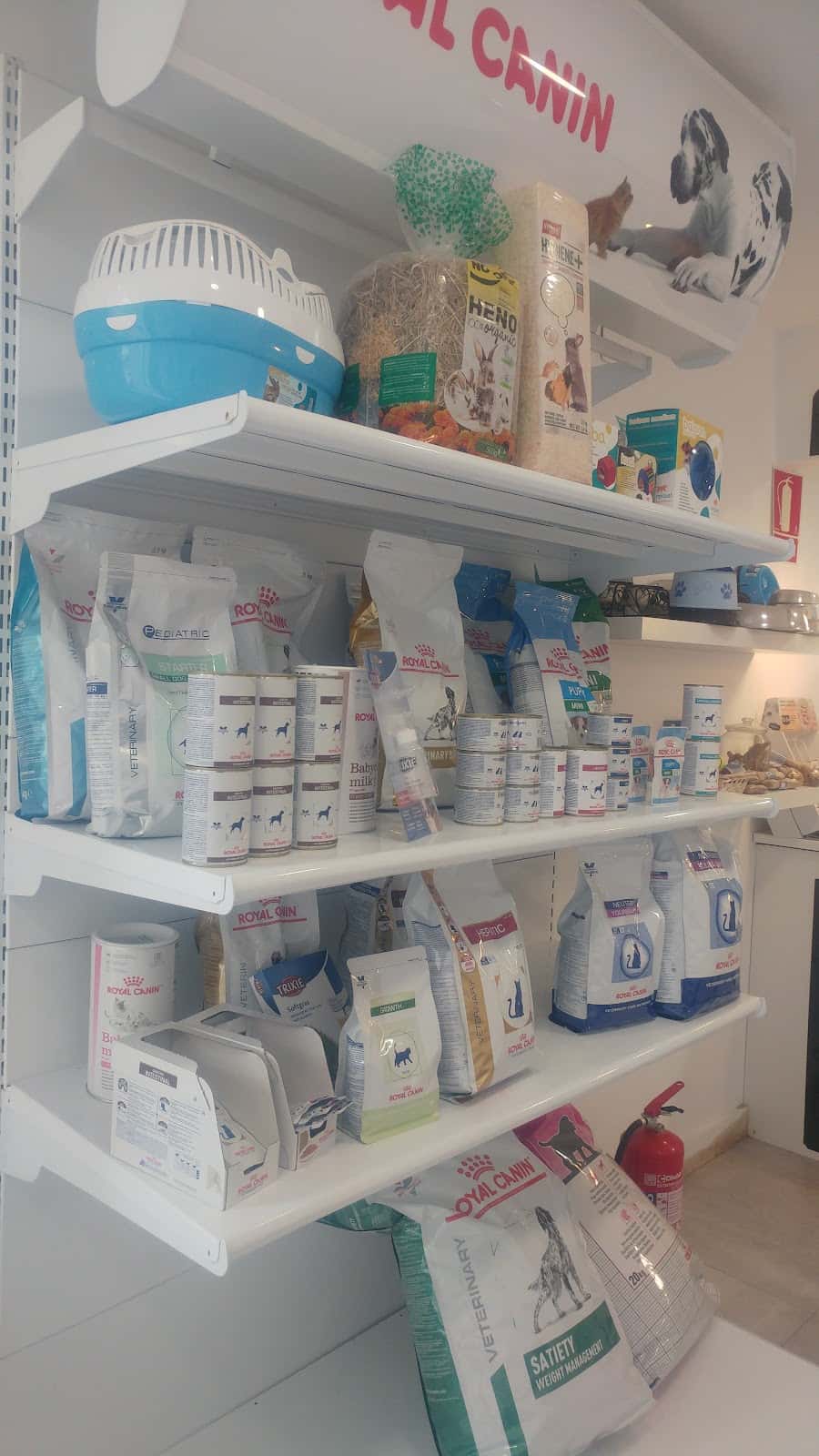 Consulta Veterinaria Elena Sáenz
