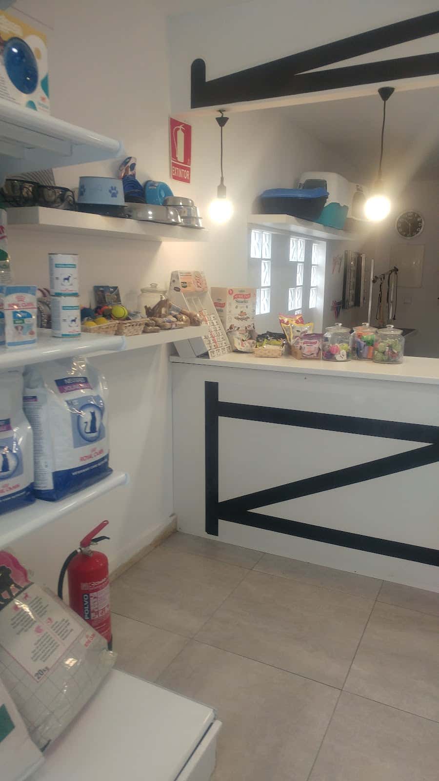 consulta veterinaria elena saenz veterinario centro en andorra en teruel principalImage ADOPTA Sitios Pet Friendly