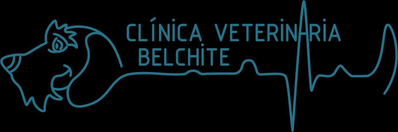 Clínica Veterinario Belchite