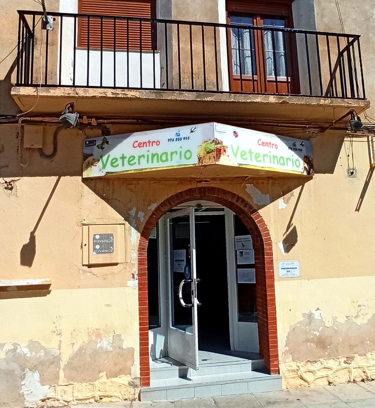 clinica veterinario belchite veterinario clinica en belchite en zaragoza principalImage ADOPTA Sitios Pet Friendly