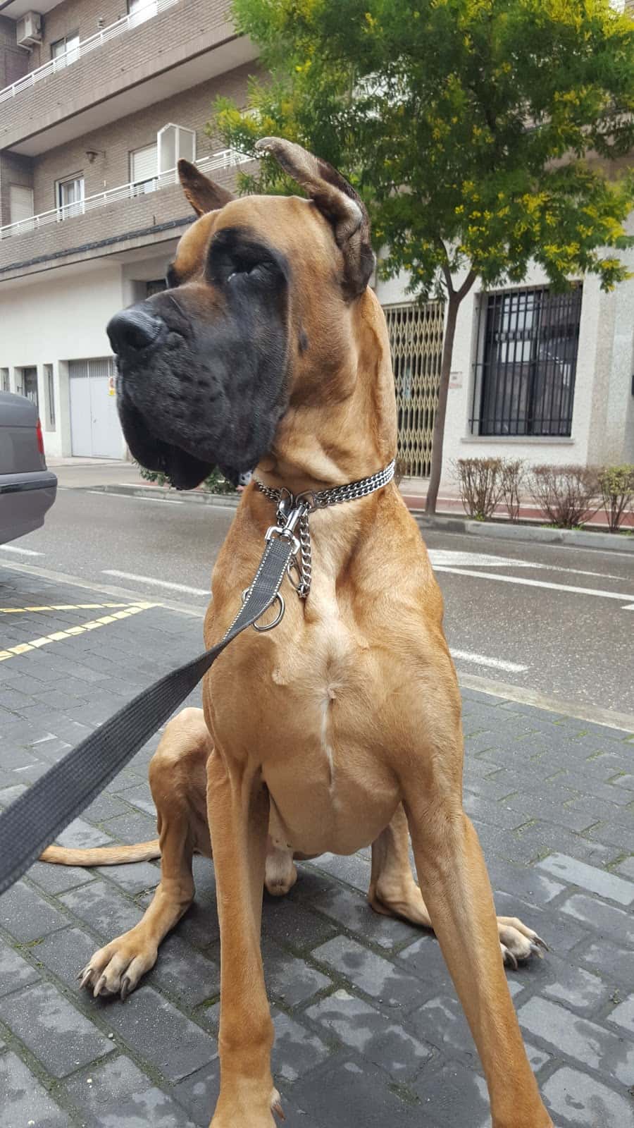 Centro de referencia Veterinario Faunia