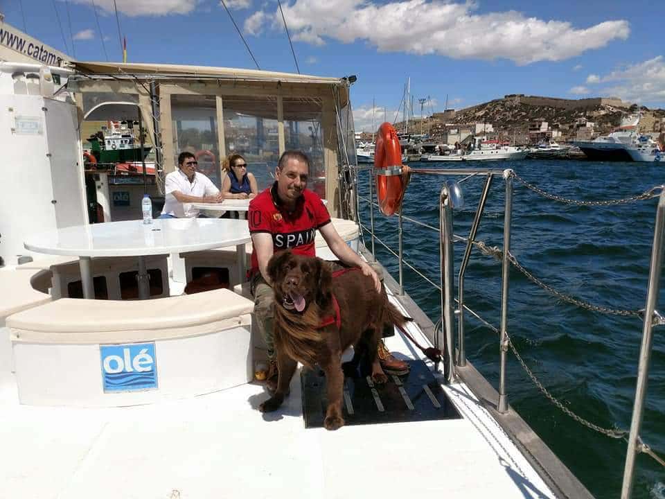 Clínica Veterinaria Tu Mascota S L