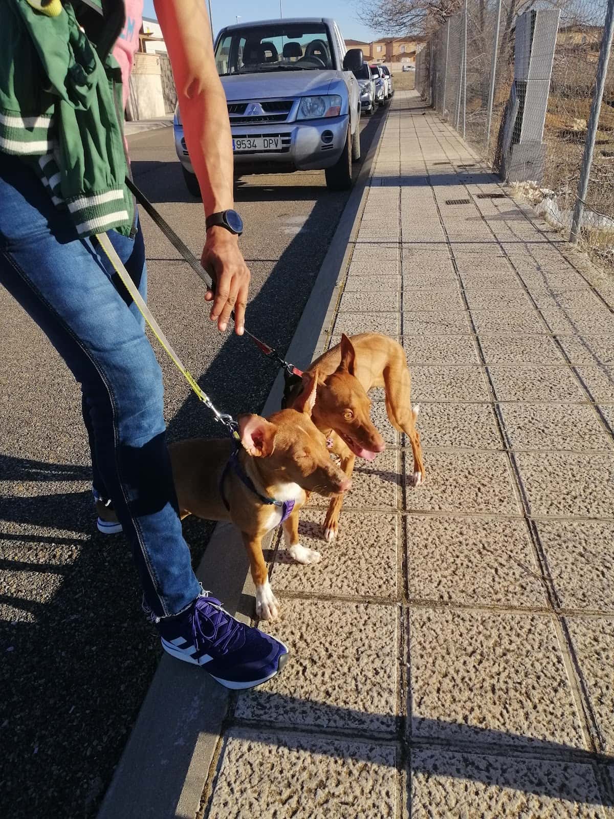 Clínica Veterinaria Nambroca