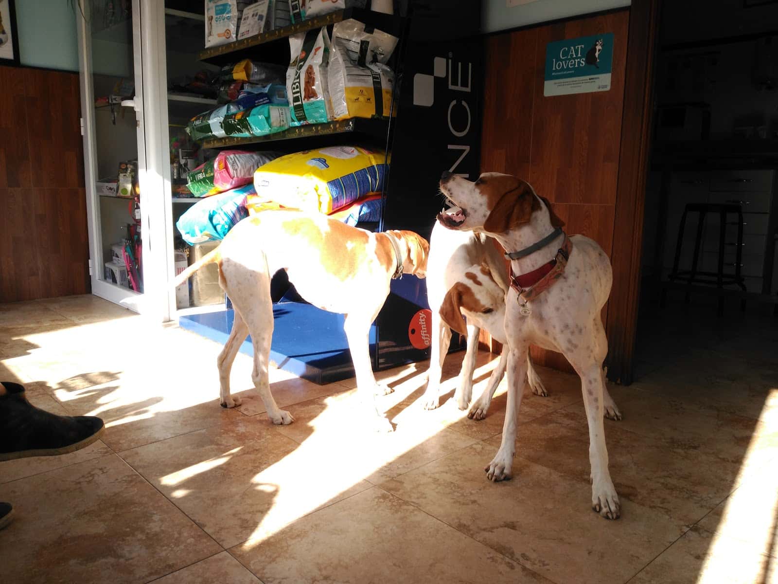 Clínica Veterinaria Nambroca