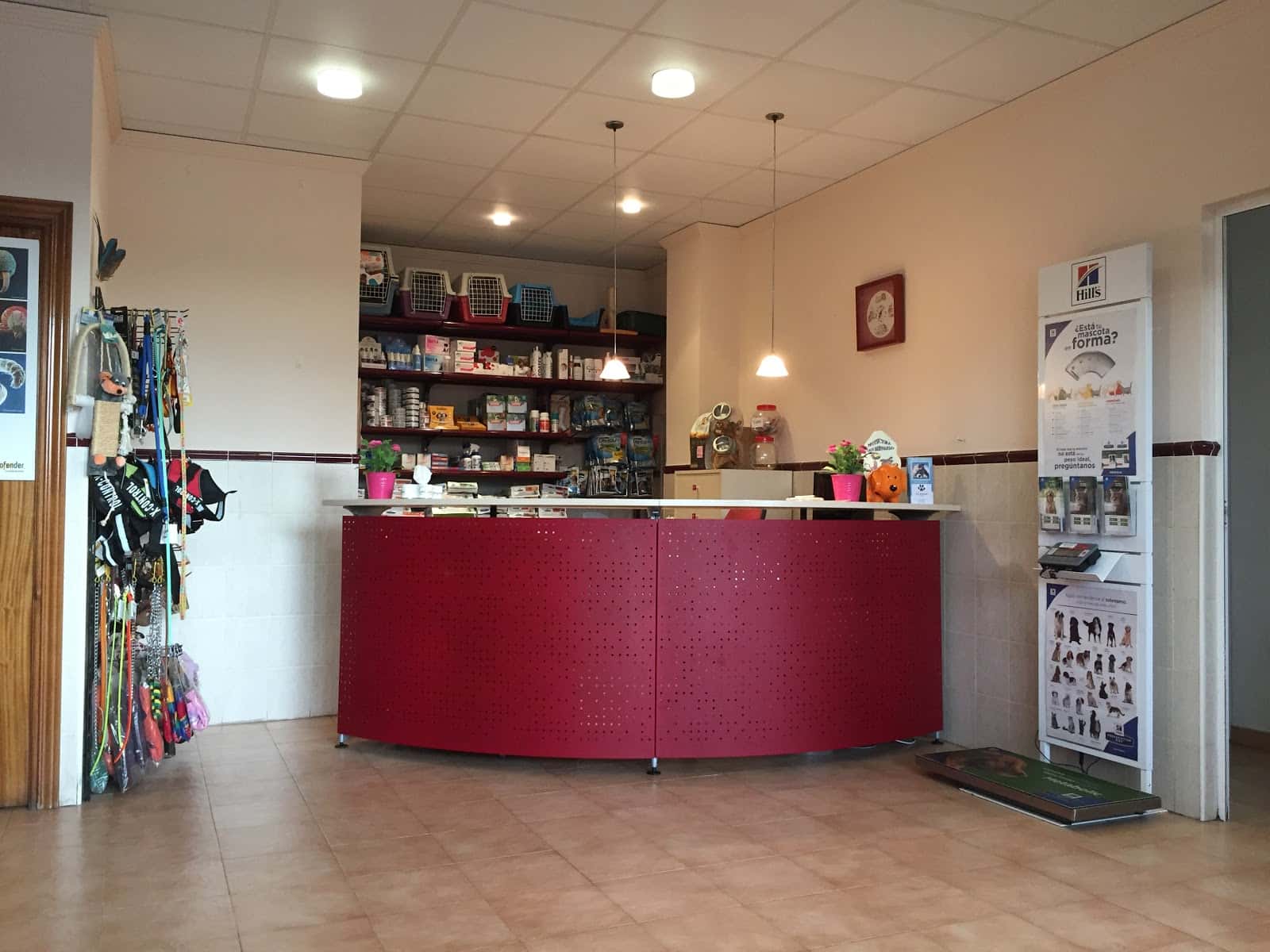 dobican centro veterinario en toledo veterinario centro barrio toledo en toledo en toledo principalImage ADOPTA Sitios Pet Friendly