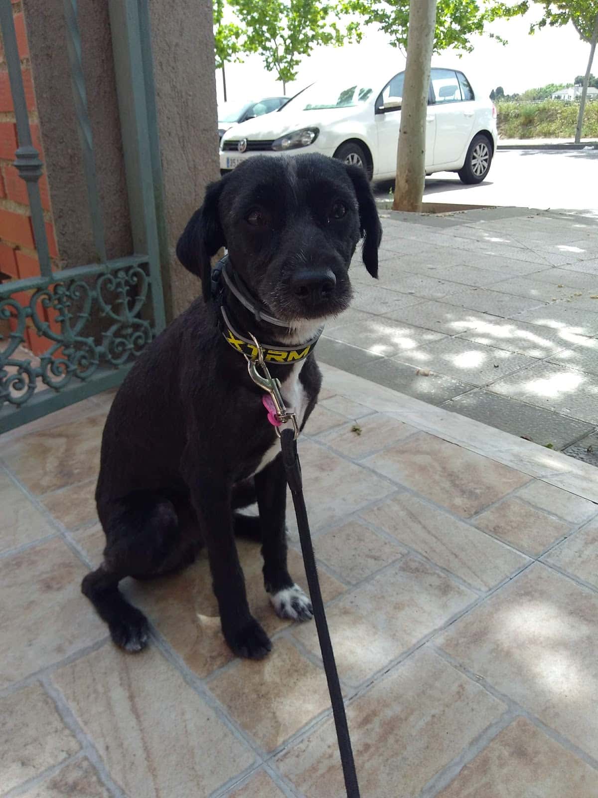 Clínica Veterinaria Salud Animal