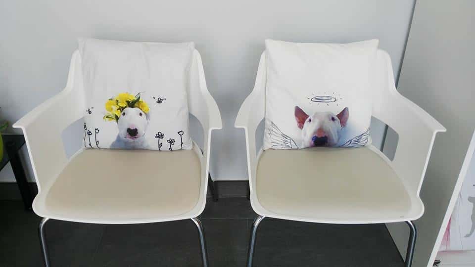 clinica veterinaria dejando huella veterinario clinica barrio toledo en toledo en toledo principalImage ADOPTA Sitios Pet Friendly