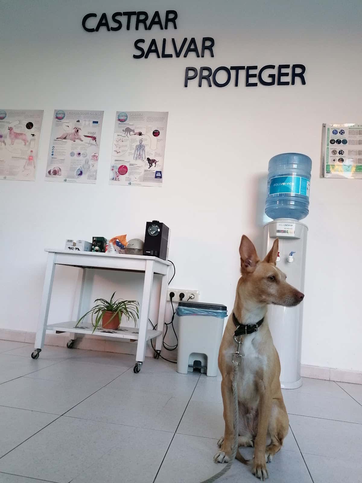 Clínica veterinaria Granavet