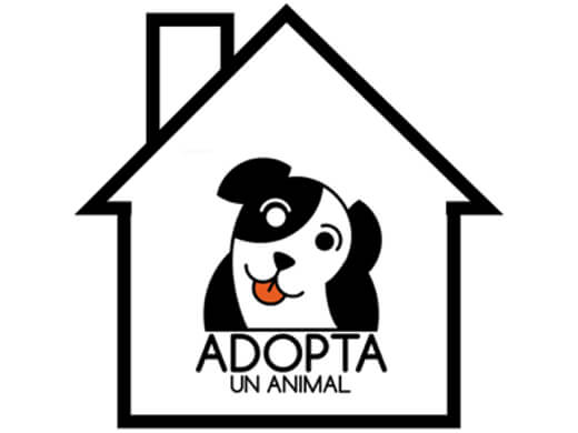 img principal ADOPTA Sitios Pet Friendly