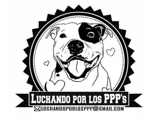Logo de luchandoporlosppp´s ADOPTA Sitios Pet Friendly