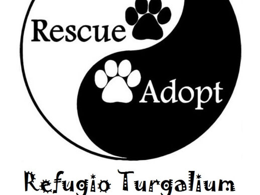 Logo de Refugio Turgalium de Animales ADOPTA Sitios Pet Friendly