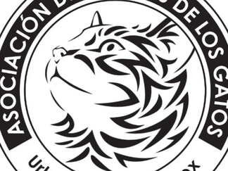 img principal ADOPTA Sitios Pet Friendly