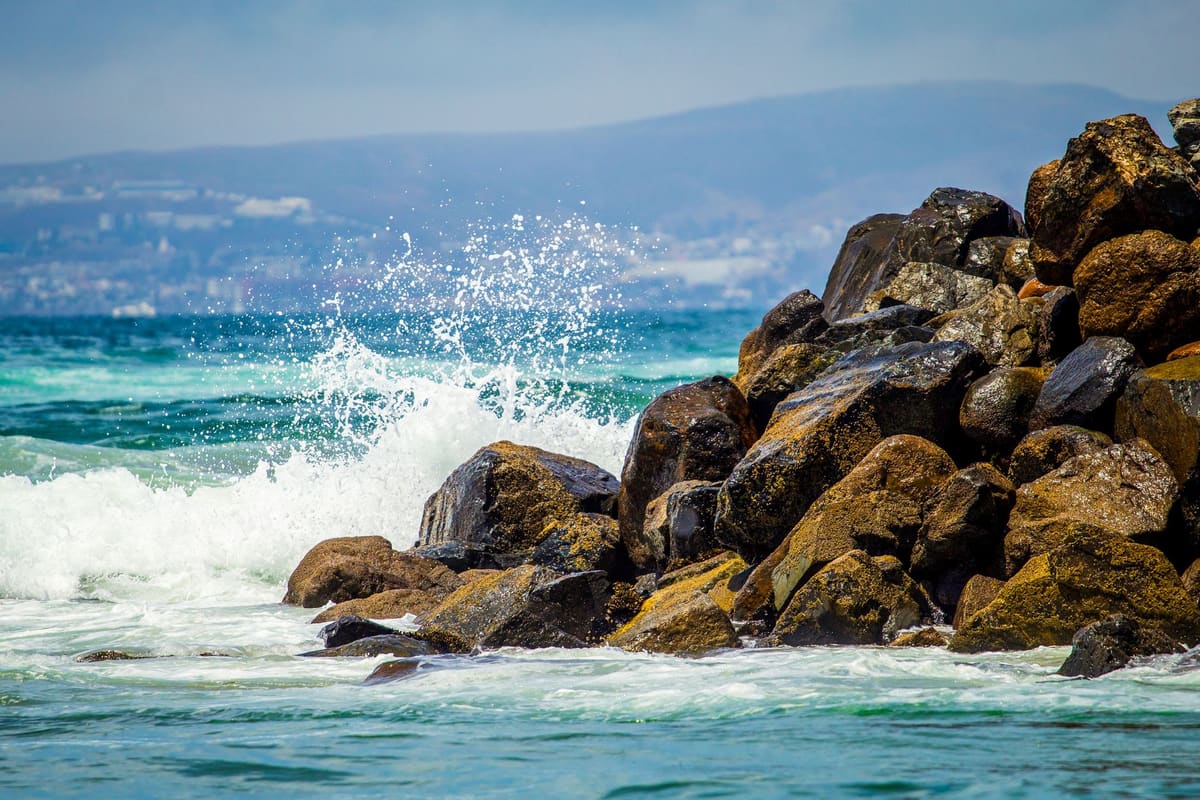 Pulpo camuflado entre las rocas, curiosidades de animales sobre adaptación extrema