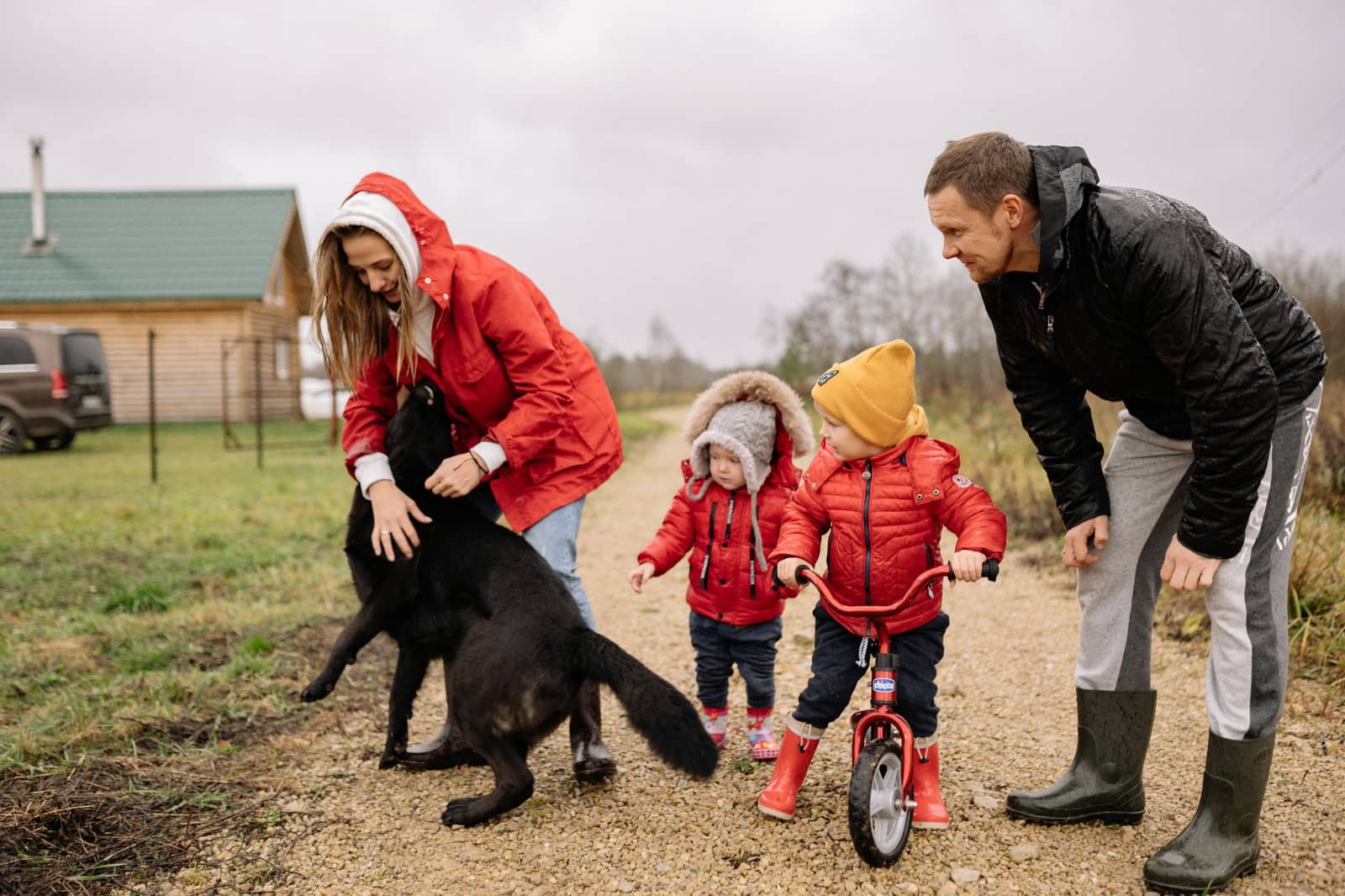 Cómo adoptar un perro en España: pasos y requisitos