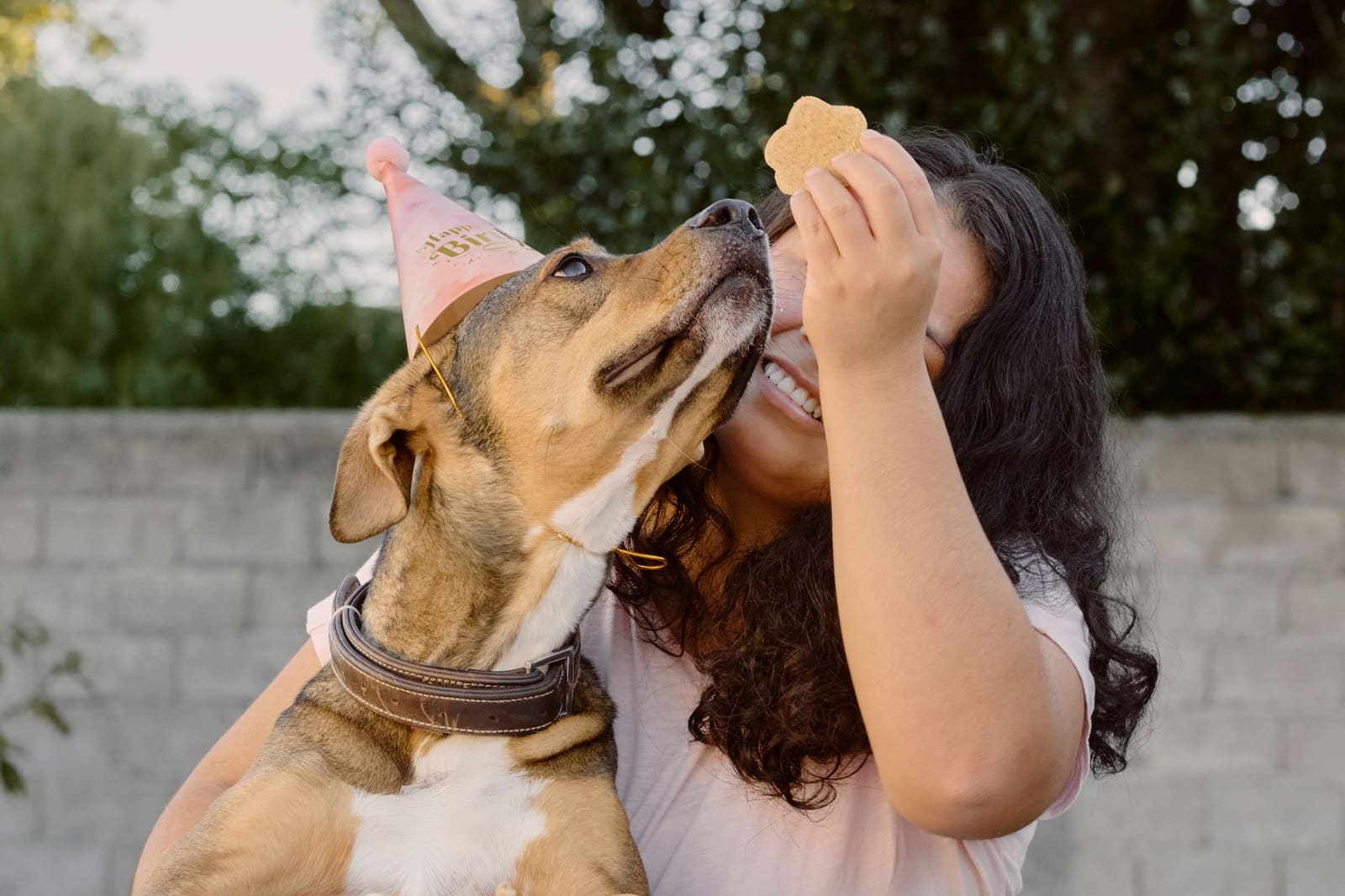 Nombres para perros hembra: 200 ideas originales